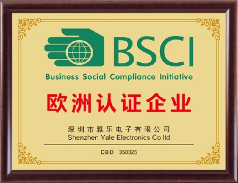 BSCI Certificated Enterprise of Europe