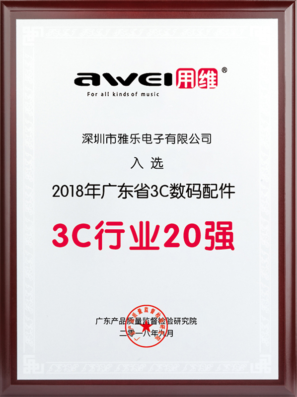 Top 20 in 3C Accessories Industry